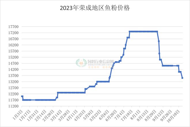 宁晋最新房价信息解析，小城温情背后的房价新探