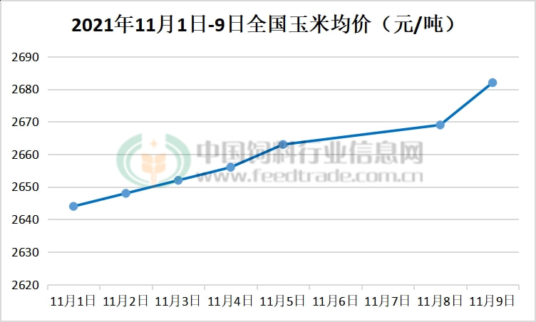 邳州玉米最新价格，变化中的机遇与自信的力量展现市场潜力