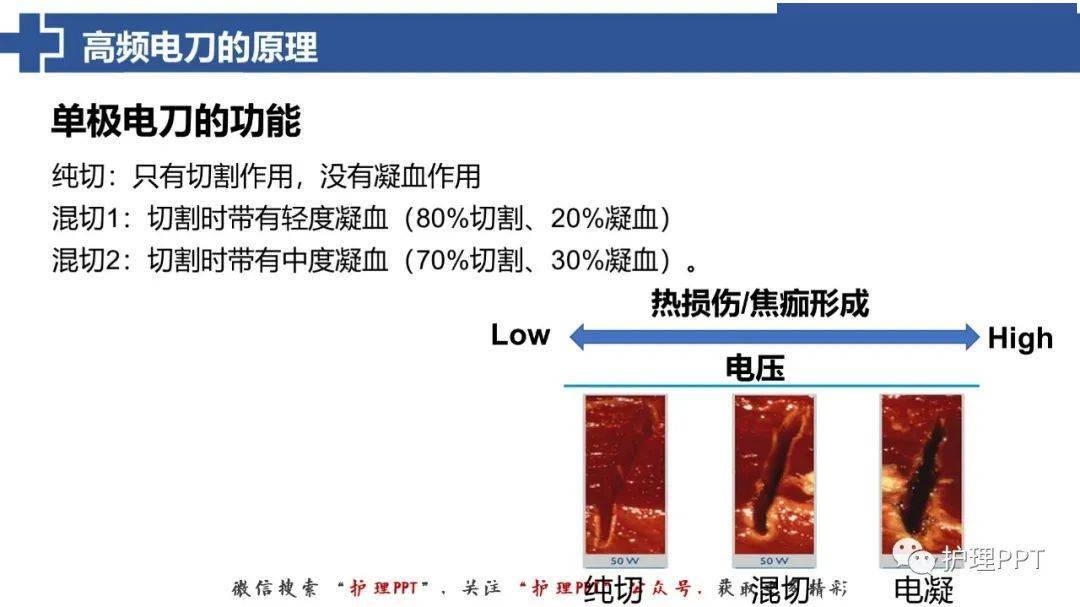 电刀新秀霞,电刀新秀霞——电竞之光照亮新一代的希望