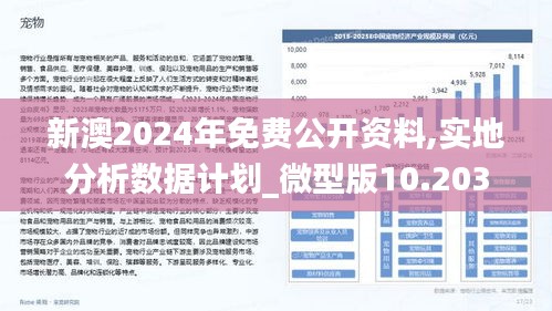 新澳2024年最新版资料,最佳实践策略实施_ChromeOS13.787