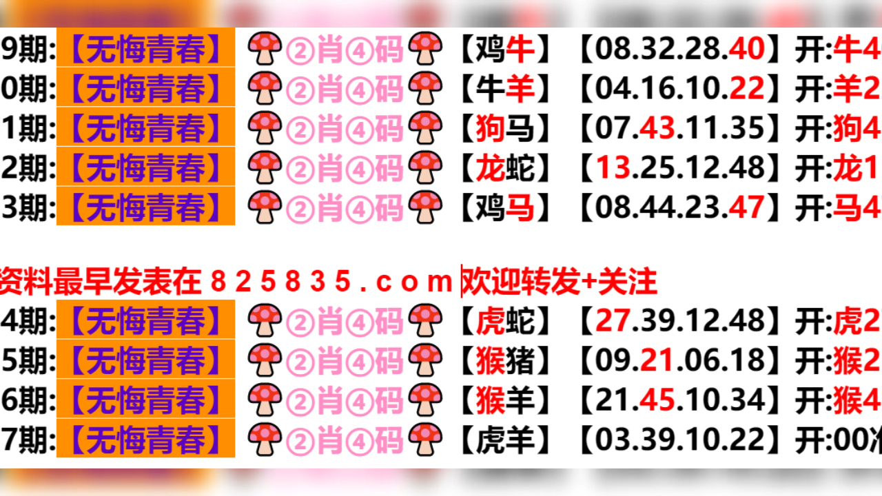 关于我们 第45页