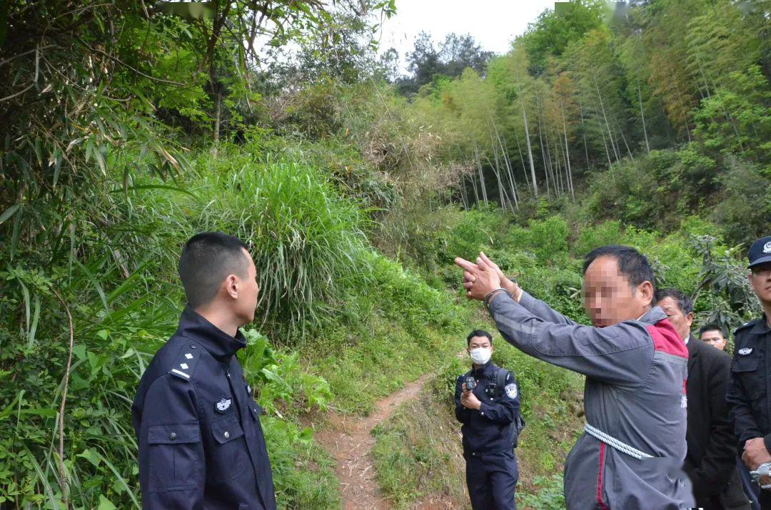 遂昌公安网最新案件揭秘，平安日常的温馨故事