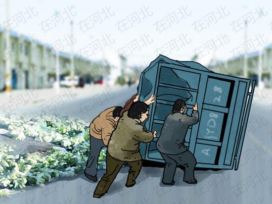 桥西蔬菜最新价格概览，时代印记与市场动态