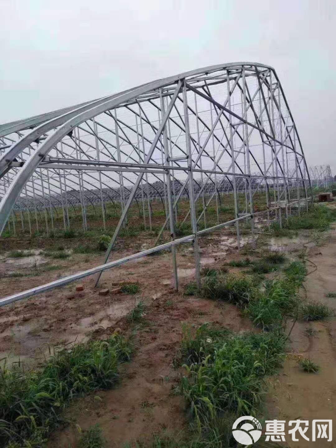 钢管大棚的新建方法与内部的温暖故事