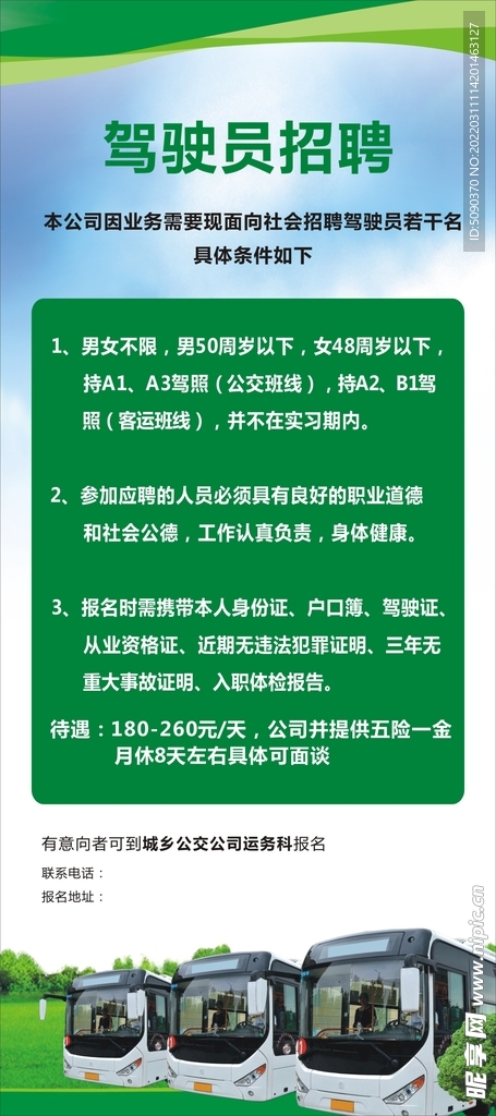 雷州司机招聘最新信息及应聘详细步骤指南