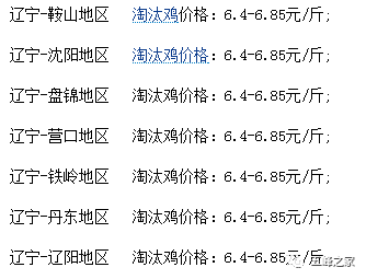 石家庄淘汰鸡最新价格，科技引领价值重塑，体验未来生活