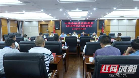 桑植县领导最新调整，深度分析与观点阐述