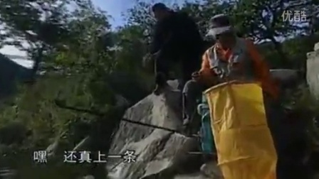 最新黑坑江湖钓鱼视频，鱼趣与人情的温馨碰撞之旅